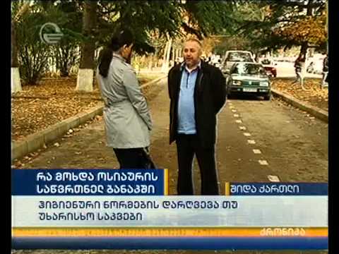 საბოტაჟი თუ მზარეულის დაუდევრობა?