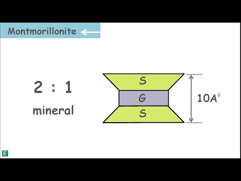 Soil Mineralogy - Clay Mineralogy