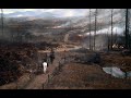 The Witcher 3 - Beautiful Calm & Sad Emotional Violin Music Mix, Blood and Wine Expansion Music Mp3