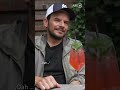 Nicht alles, was Steffen Henssler kocht, schmeckt 😅 | Kurzstrecke #shorts