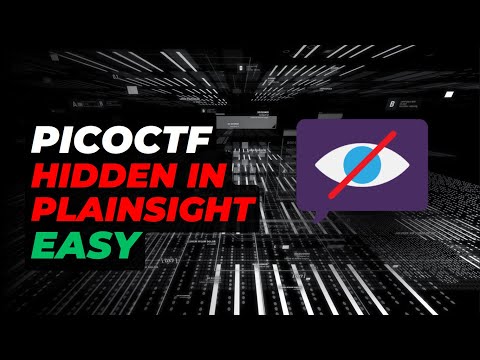 EASY | HIDDEN IN PLAINSIGHT  - picoCTF | Walkthrough and Explanation