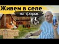 Трансильвания Мешендорф - ночь на ферме в Карпатском лесу - Краски Life - тревел блог