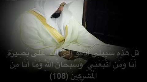 نبيل الصالح / ماتيسر من سورة يوسف