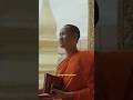 Lasciare tutto per diventare monaco #shorts #progettohappiness #buddhism #monkslife #meditation