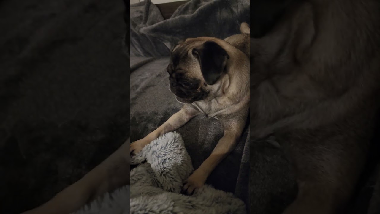 I could do this all day....