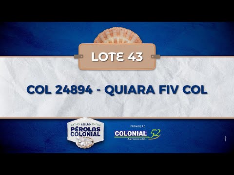 LOTE 43 COL 24894