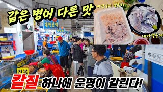 민락어민활어직판장! 