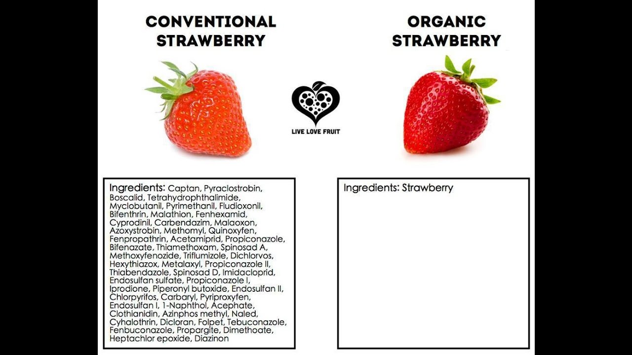 Conventional vs Organic