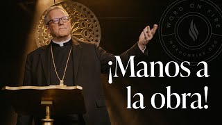 ¡Manos a la obra!  - Sermón del Domingo del obispo Robert Barron