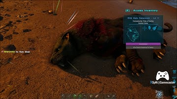 Sabertooth Taming Fail