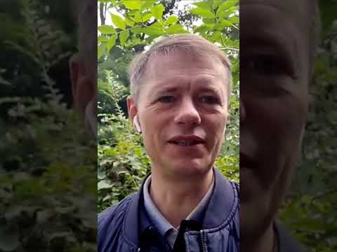 Тем кто ищет себя и смысл жизни./Отзыв Максима Дворникова. Shorts