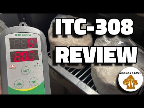Inkbird ITC-308 WiFi Review [Homebrew Temperature Controller] - BrÜcrafter