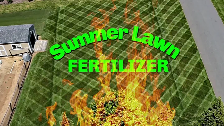 Summer Lawn Fertilizer | SMOKING HOT LAWN STRIPES