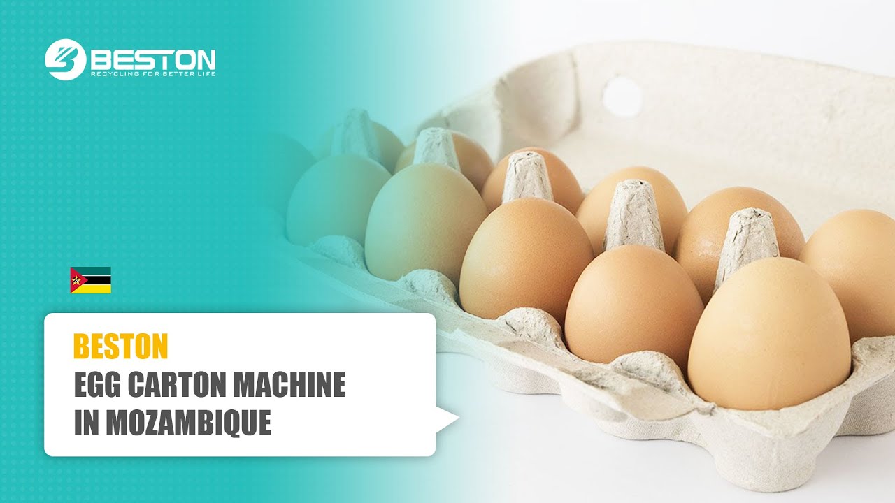 Paper Egg Carton Making Machine Price Paper Egg Carton Making Machine Price