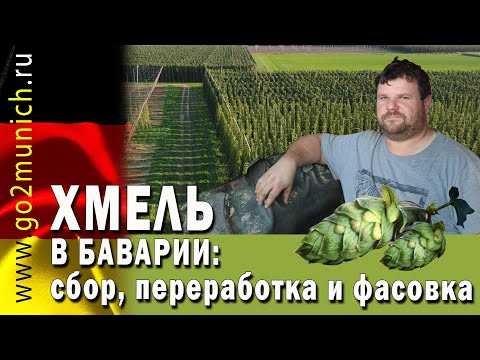 Видео: Как да режем hamelia patens?