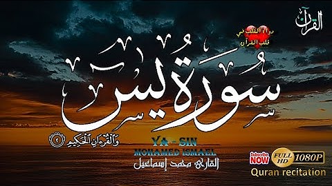 قران كريم بصوت جميل جدا جدا قبل النوم 😌🎧 سورة يس كاملة تريح القلب لتيسير الامور Surah Yasin
