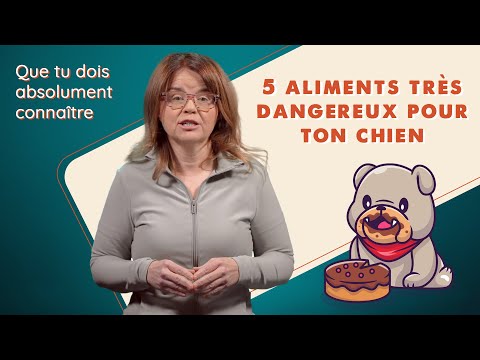 Vidéo: 5 ingrédients à surveiller dans la nourriture de votre chien