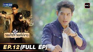 จอมโจรดอกไม้ขาว | Ep.12 (FULL EP) | 15 มี.ค. 69 | GMM25