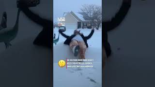 She Thought It Was A Snow Mound But She Was Wrong Ig Ayannileighna