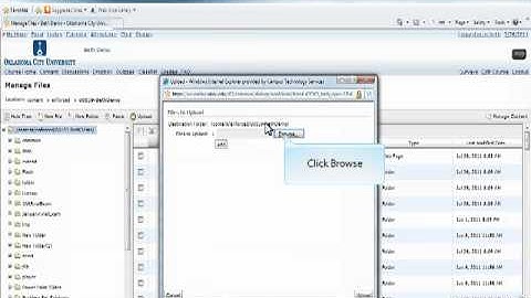 D2L General Applications: Managing Files