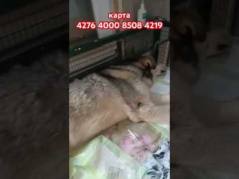 Новости не очень хорошие!
