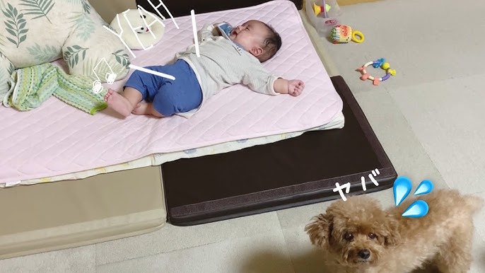 奇声 生後5ヶ月 赤ちゃん Youtube 奇声 生後5ヶ月 赤ちゃん Youtube