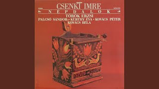 Video thumbnail of "Sándor Palcsó - Dunántúli népdalok (1972) - a) Erdő, erdő, de magos a teteje ; b) Este, későn faluvégén..."