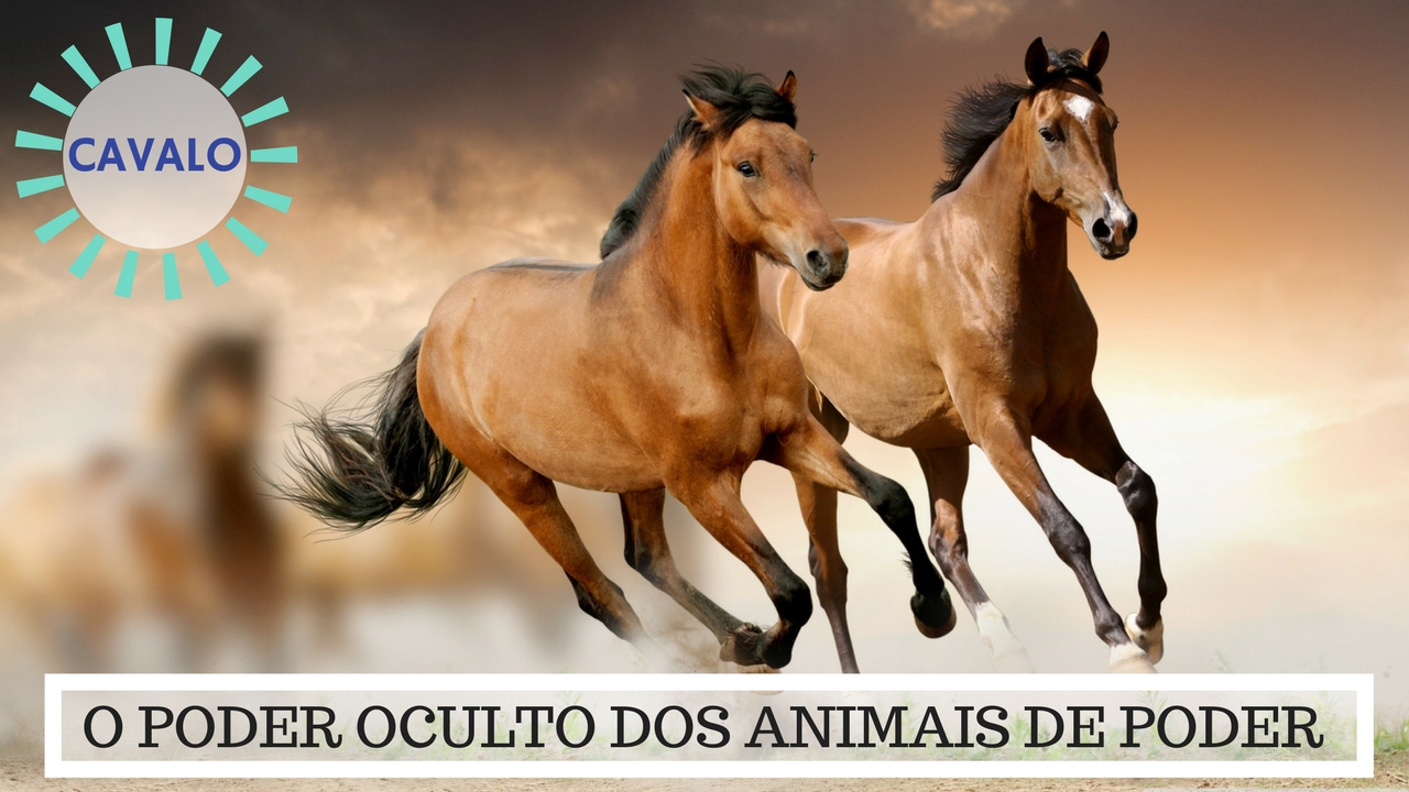 Sonhar com cavalo preto: Correndo, machucado, manso, morto e mais!