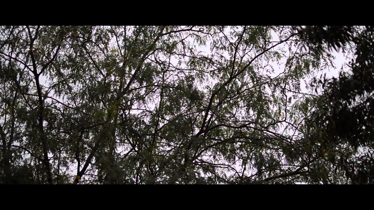 In Bucuresti ploua video editing software free