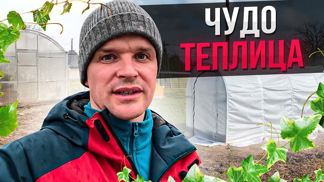 Сибирская Чудо Теплица Купить