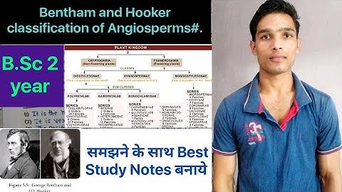 Bentham and hooker classification of Angiosperms