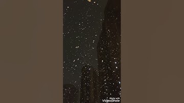 قرائة نادرة لسورة الفجر للشيخ عبد الباسط عبد الصمد