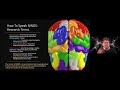 OPEN Stage Webinar: Funding in Fundamental Neuroscience