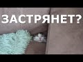 Котэ застрянет или нет?