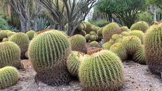 Desert Gardens at Huntington Library Walking