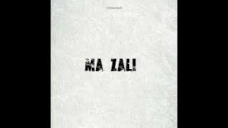 Zaggar - Ma Zali (feat. Paxtan)