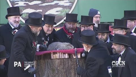 Groundhog Day 2025: Punxsutawney Phil sees his shadow, predicts 6 more weeks of winter
