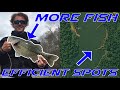 AL River BASS Fishing in CURRENT: Tips, Tricks, and Techniques