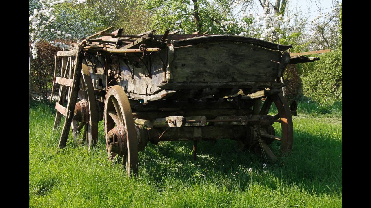 [Wikipedia] Dowlish Wake