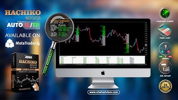 Hachiko Indicator- The Smartest Indicator with Auto SL and TP/LIVE CHART.