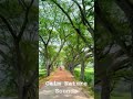 Village Street Scenery | গ্রাম বাংলার মেঠোপথ #nature #street #trees #foryou #shorts #shortsvideo