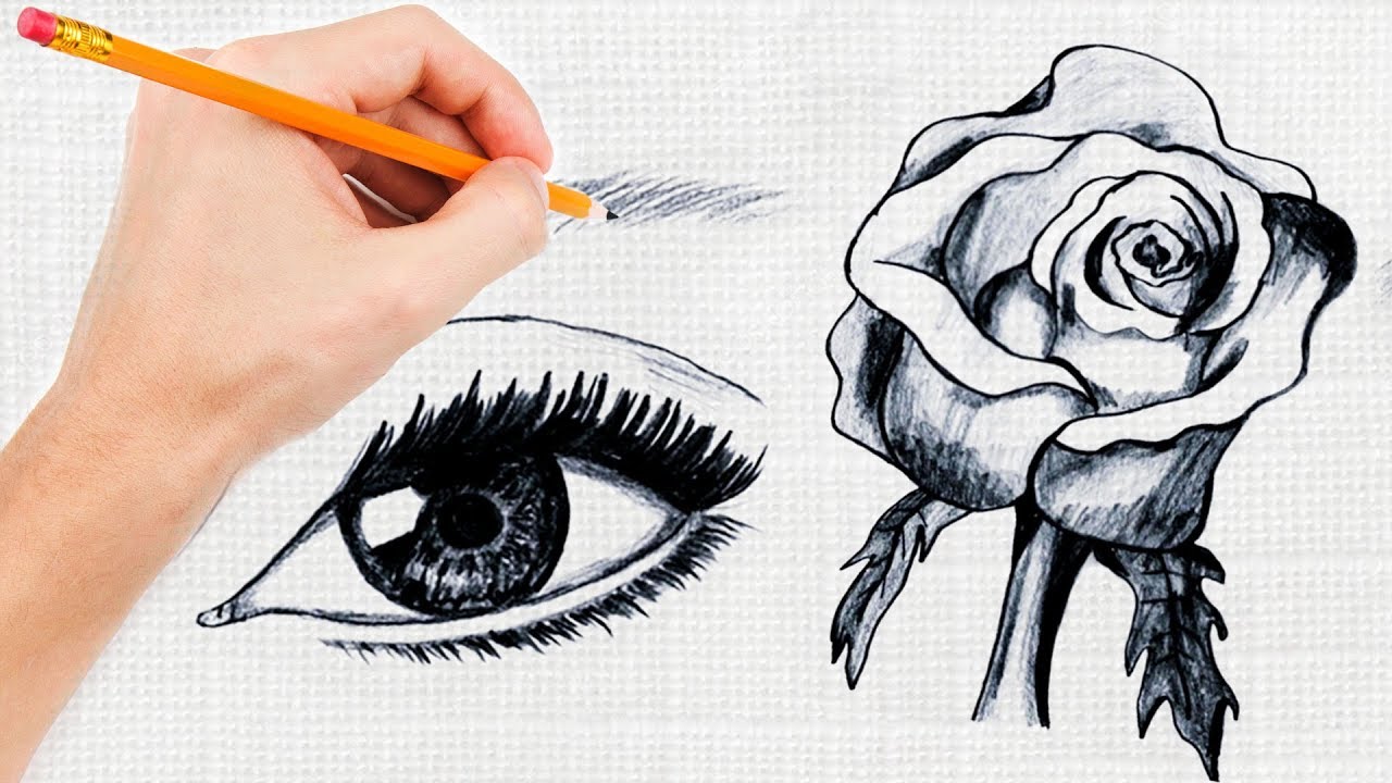 5 easy Drawing Exercises for Beginners and Pros