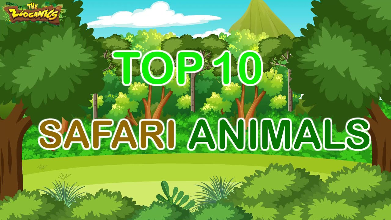 safari animal videos for toddlers