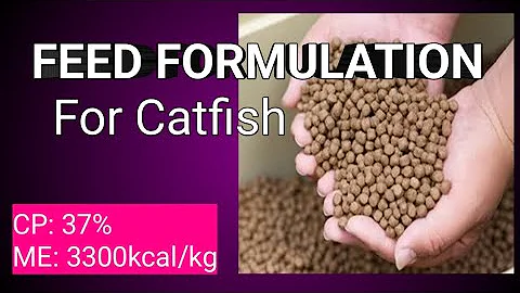 Fish Feed Formulation - How to formulate fish feed at home locally for catfish!