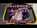 このチャンネル始まって最大のピンチです