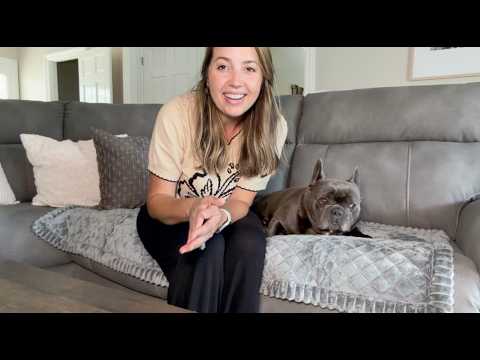GOSTADY Waterproof Couch Cover for Dogs Review | Washable, Plush, & Non Slip