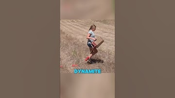 Wildfire Defense System