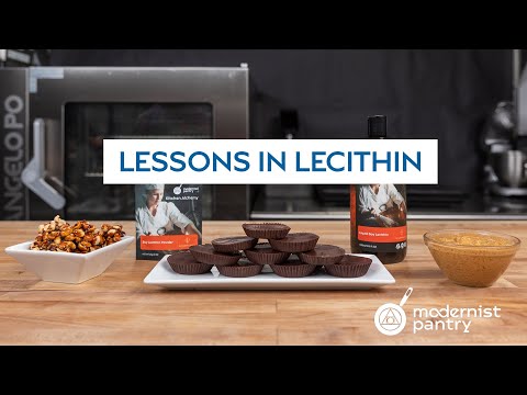 Liquid vs Powder Lecithin: Lessons in Lecithin. WTF - Ep. 258