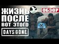 Days Gone - Обзор (PS4). Жизнь после Игрожуров!