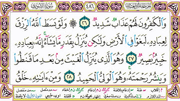 القرآن الكريم مقسم صفحات | الشيخ حاتم فريد | سورة الشورى | صفحة 486 مكتوبة | مصحف التجويد الملون